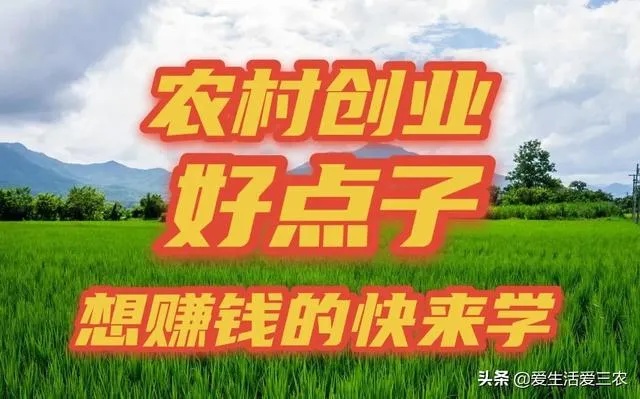 农村做什么专业最好赚钱（探讨农村创业项目选择）