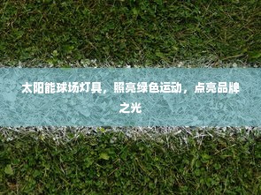 太阳能球场灯具，照亮绿色运动，点亮品牌之光