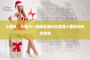 小罩杯，大魅力—揭秘高端内衣品牌小罩杯的时尚传奇