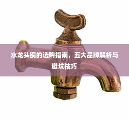 水龙头铜的选购指南，五大品牌解析与避坑技巧