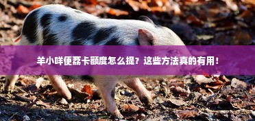 羊小咩便荔卡额度怎么提？这些方法真的有用！
