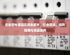 安全带电镀层品牌全解析，行业现状、选购指南与实战案例