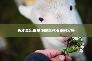 长沙套出来羊小咩享花卡案例分析