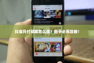 抖音月付额度怎么提？新手必看攻略！