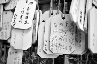 揭秘抖音月付套现的奥秘，提点多少？