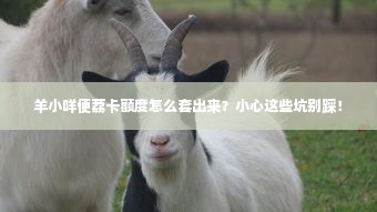 羊小咩便荔卡额度怎么套出来？小心这些坑别踩！