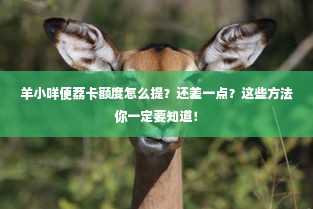 羊小咩便荔卡额度怎么提？还差一点？这些方法你一定要知道！
