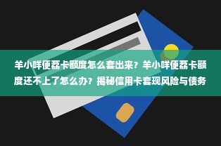 羊小咩便荔卡额度怎么套出来？羊小咩便荔卡额度还不上了怎么办？揭秘信用卡套现风险与债务危机应对指南