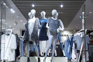 哪些奢侈品牌拥有礼服店，一场时尚盛宴的探寻