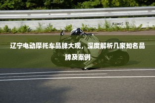 辽宁电动摩托车品牌大观，深度解析几家知名品牌及案例