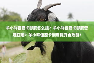 羊小咩便荔卡额度怎么提？羊小咩便荔卡额度管理在哪？羊小咩便荔卡额度提升全攻略！