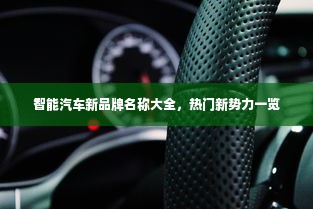 智能汽车新品牌名称大全，热门新势力一览