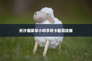 长沙商家羊小咩享花卡取现攻略