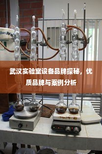 武汉实验室设备品牌探秘，优质品牌与案例分析