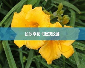 长沙享花卡取现攻略