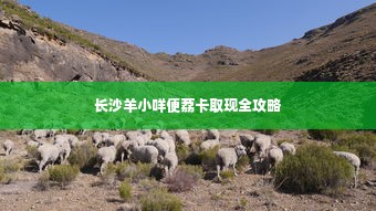 长沙羊小咩便荔卡取现全攻略