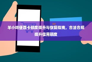 羊小咩便荔卡额度提升与恢复指南，合法合规提升信用额度