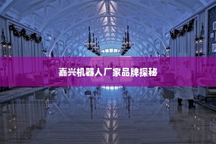 嘉兴机器人厂家品牌探秘