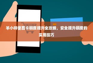 羊小咩便荔卡额度提升全攻略，安全提升额度的实用技巧