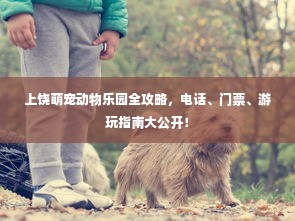 上饶萌宠动物乐园全攻略，电话、门票、游玩指南大公开！