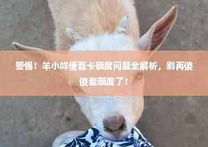 警惕！羊小咩便荔卡额度问题全解析，别再傻傻套额度了！