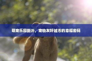 萌宠乐园新沂，宠物友好城市的幸福密码