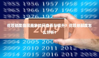 花呗额度提现商家如何查看与提升？花呗总额度怎么分析？
