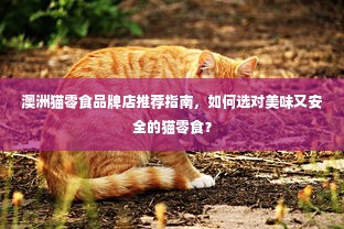澳洲猫零食品牌店推荐指南，如何选对美味又安全的猫零食？