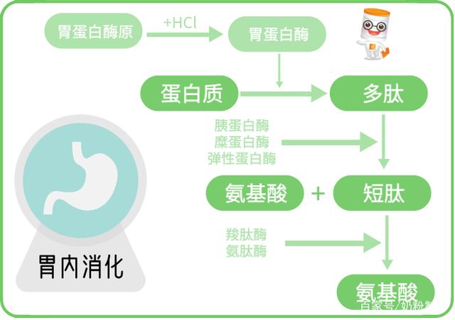 奶粉含蛋白质吗,奶粉含鸡蛋白吗?