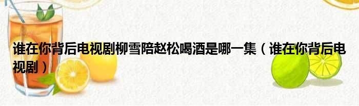 董微微卖房子是哪一集,董微微售楼小姐那部电视剧叫什么