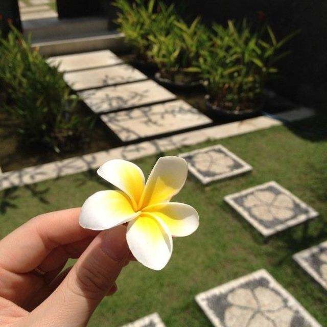 巴厘岛的鸡蛋花护手霜 巴厘岛鸡蛋花护手霜为什么买不到